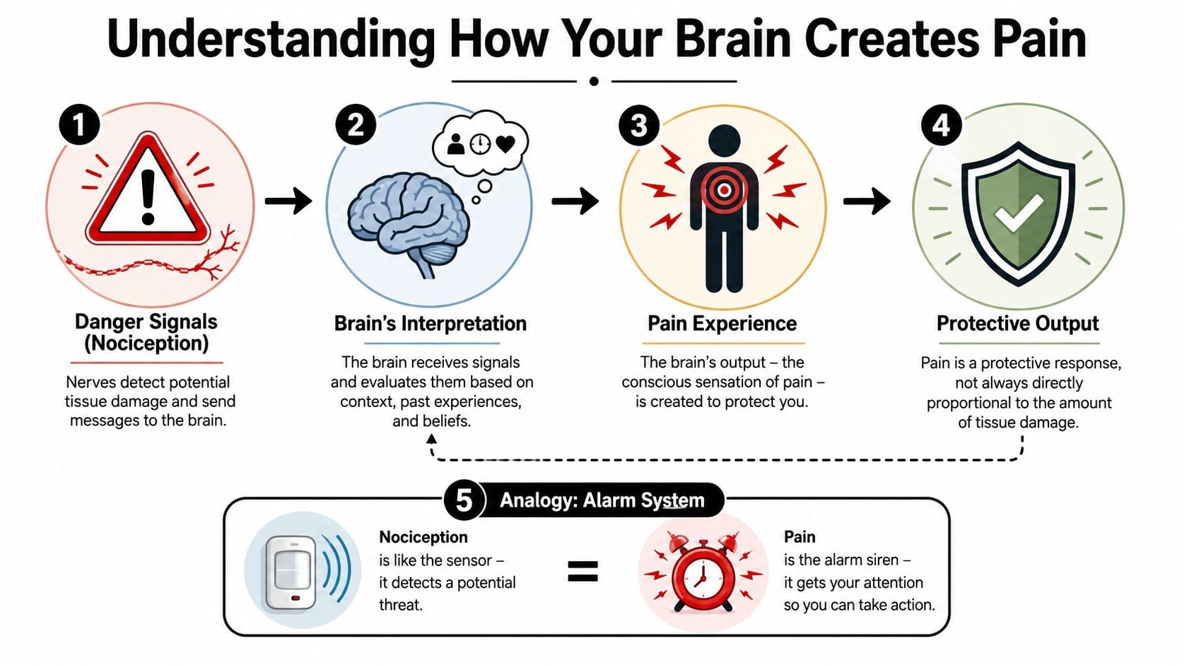 A diagram explaining the four-step process of how the brain creates pain, including an alarm system analogy.