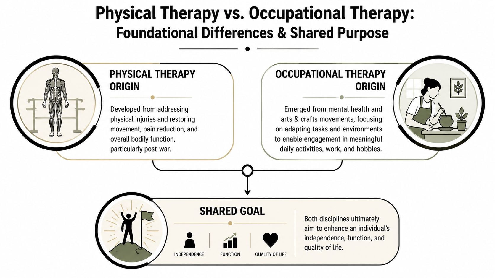An infographic comparing the origins and shared goals of physical therapy and occupational therapy professions.
