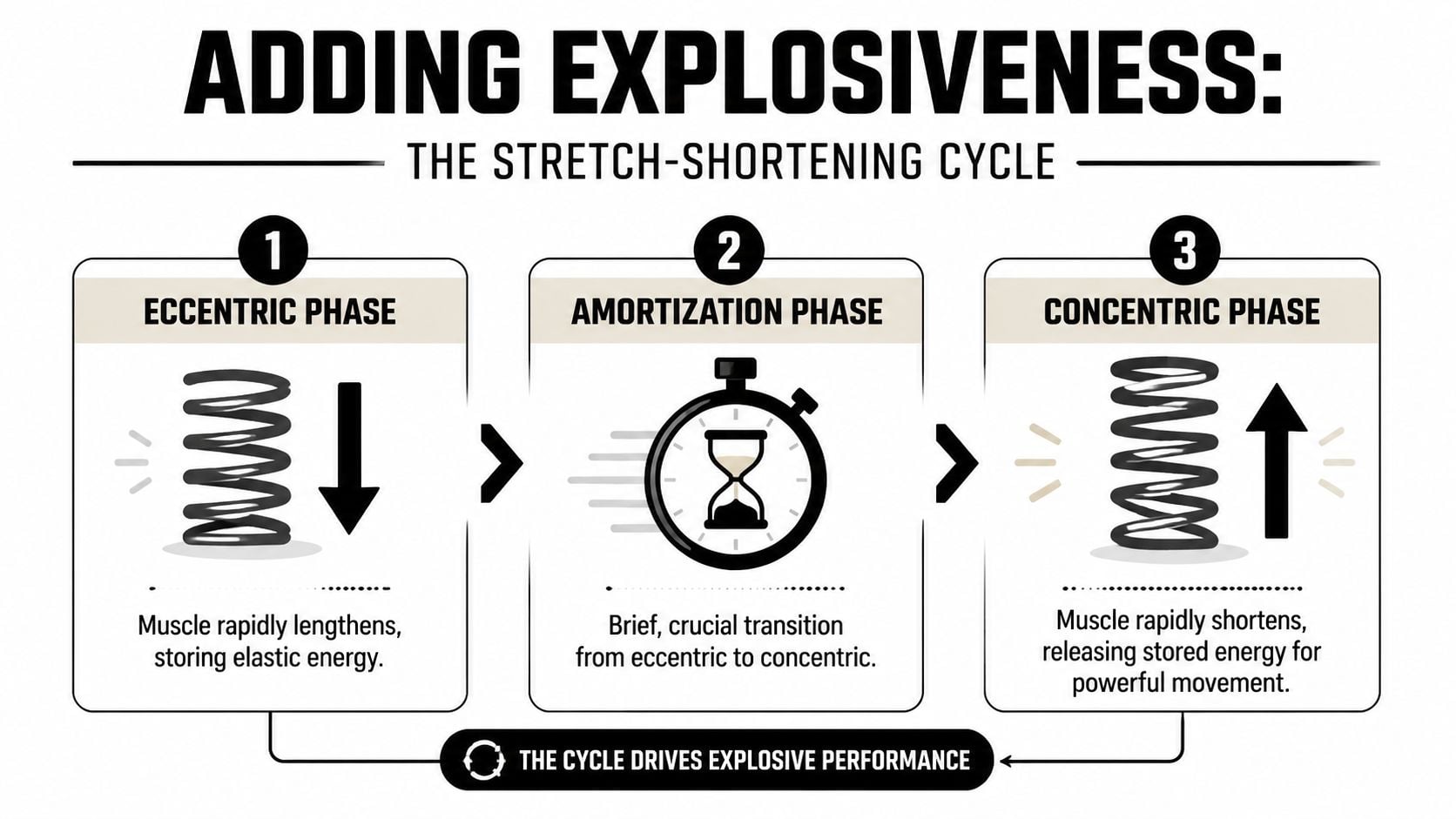 A diagram illustrating the three phases of the stretch-shortening cycle for explosive athletic performance.